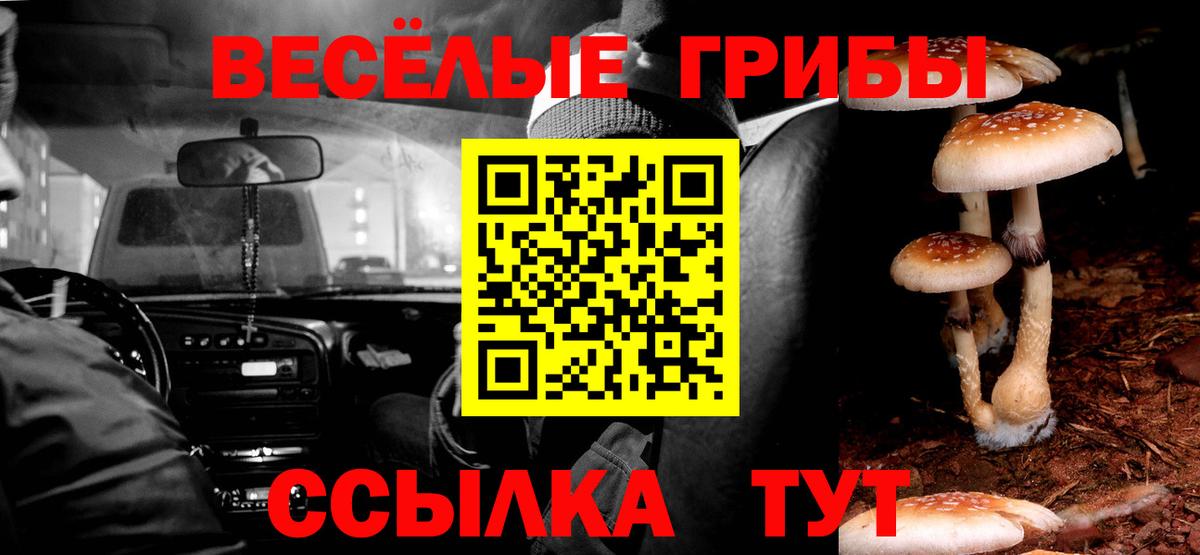 Псилоцибиновые грибы GOLDEN TEACHER Саянск