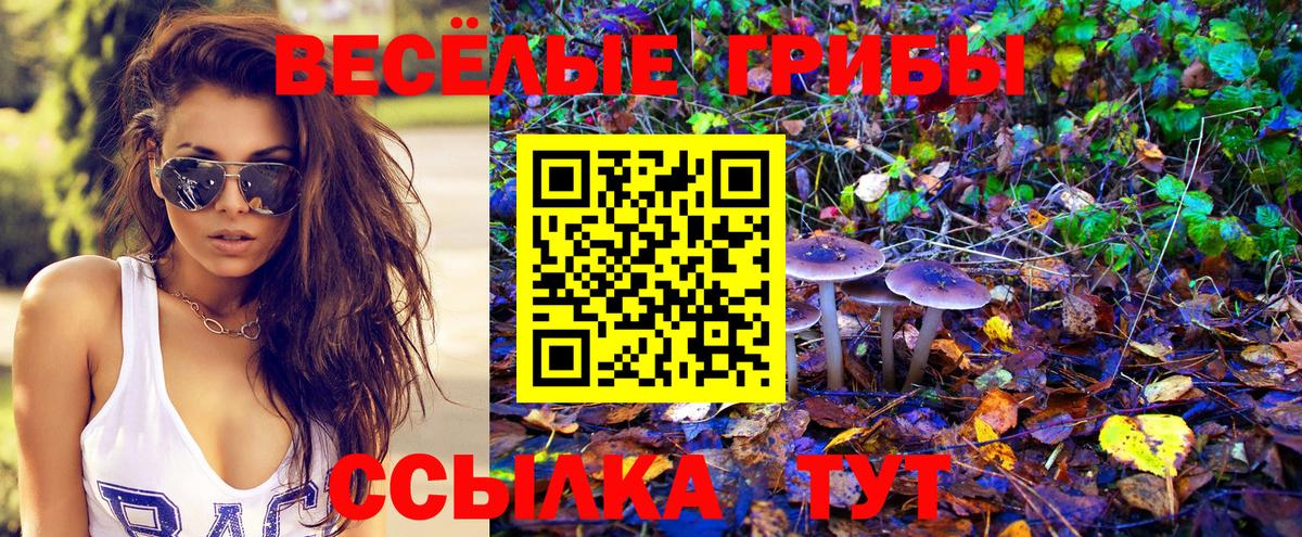 Галлюциногенные грибы мухоморы  Галлюциногенные грибы мухоморы  Саянск  купить   Вход с VPN 